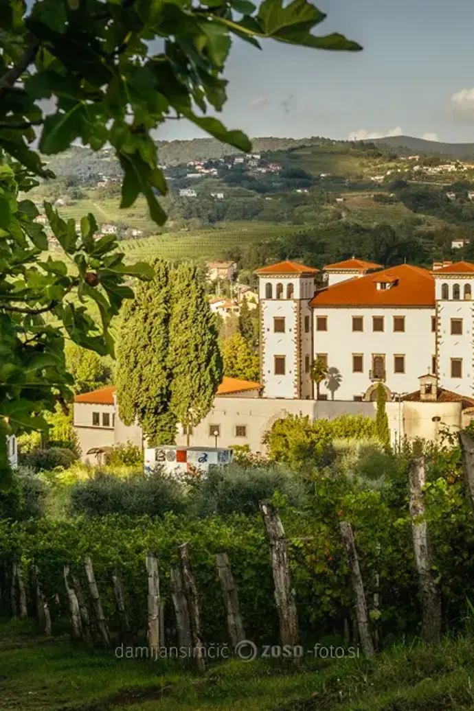 poročna lokacija, hotel, poroka, sejem, grad, narava, Moja poroka 